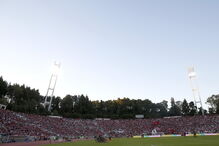 Ninhos de vespas, filas intermináveis e acessos deficientes. Jamor voltou a ser 'pequeno' para tantos adeptos