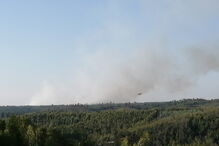 Incêndio em Água das Casas, Abrantes