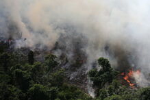 Amazónia a arder, incêndios na Amazónia, Brasil
