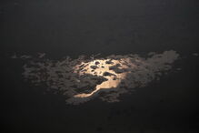 Amazónia fustigada pelos incêndios