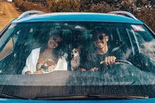 Pedro Teixeira e Sara Matos