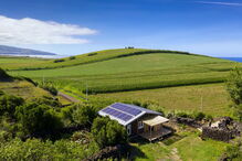 Ricardo e Mafalda: o casal que construiu uma casa autossuficiente