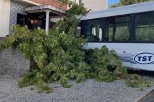 Autocarro desgovernado abalroa seis carros em Setúbal