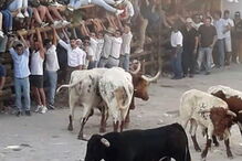 Jovem de 25 anos colhido por touro nas festas de Barrancos