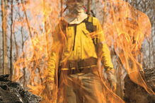 Os incêndios na Amazónia aumentaram este ano e preocupam o Mundo 