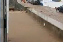 Chuva intensa causa inundações nos Açores