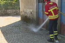 Homem esfaqueado até à morte em Oliveira do Hospital