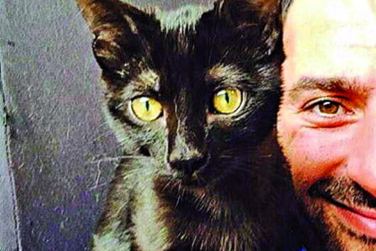 Ayhuasca e Pedro Medeiros 