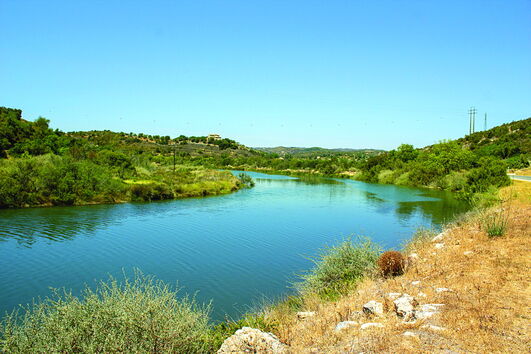 PJ investiga corpo de mulher a boiar no rio Séqua em Tavira