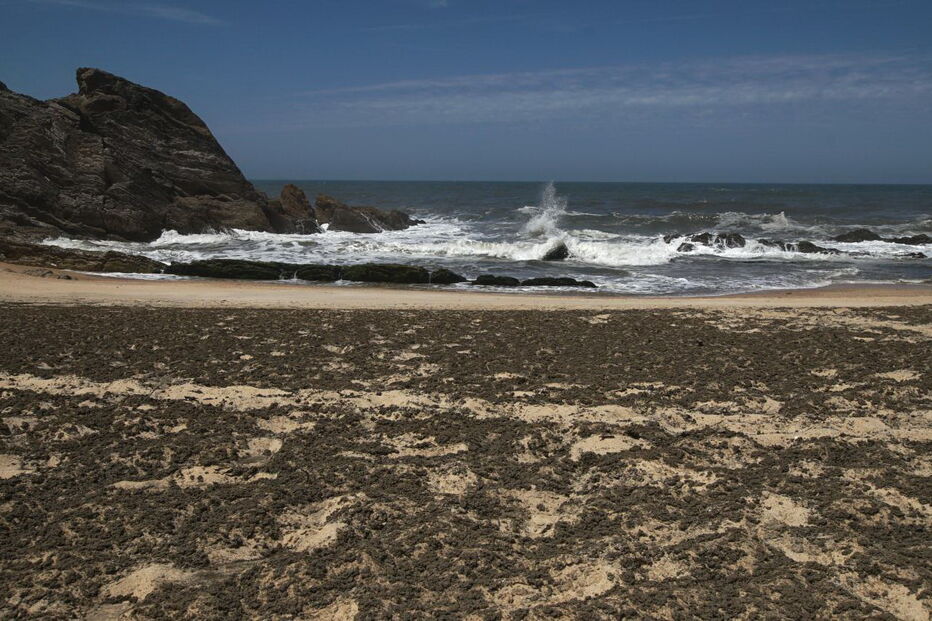 Descargas de espuma negra poluem praias da Marinha Grande
