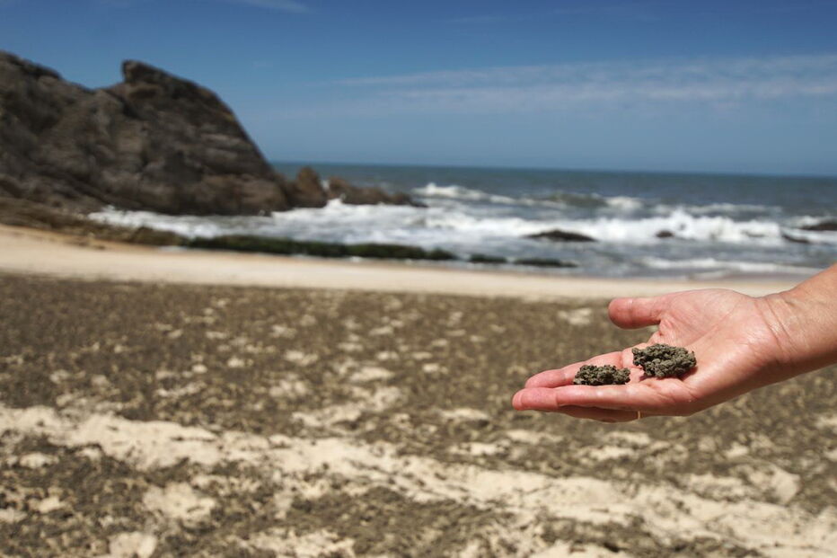 Descargas de espuma negra poluem praias da Marinha Grande