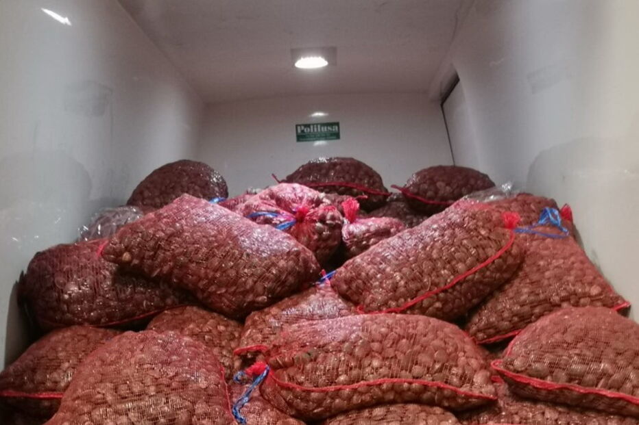 GNR apreende 5,4 toneladas de amêijoa japonesa em Valença