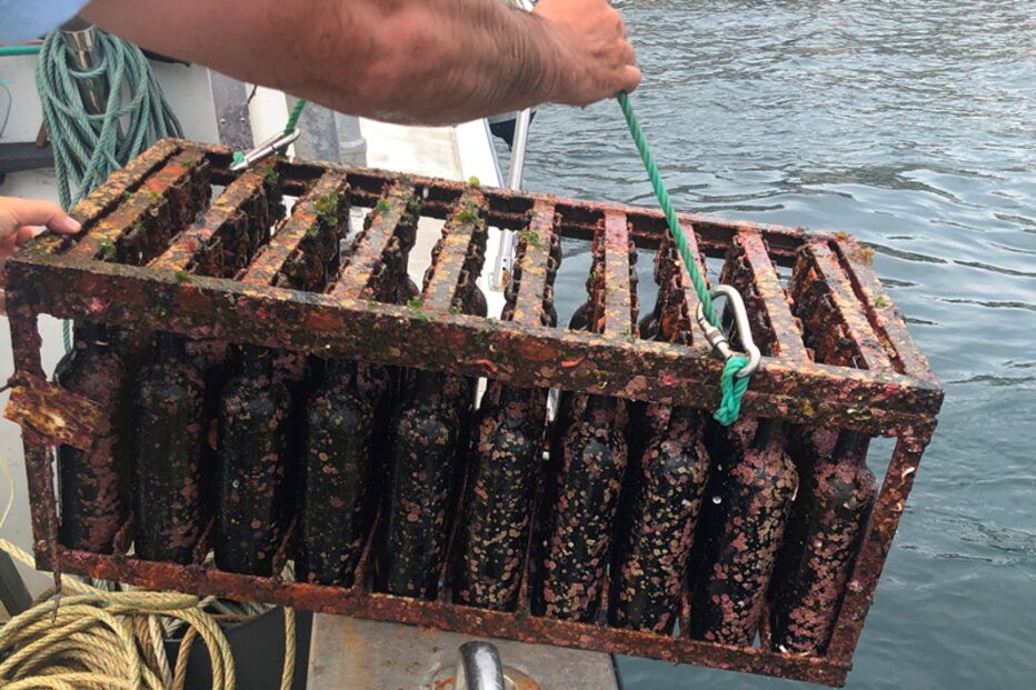 2019-08-02_17_04_22 VinhoDoMar.jpg