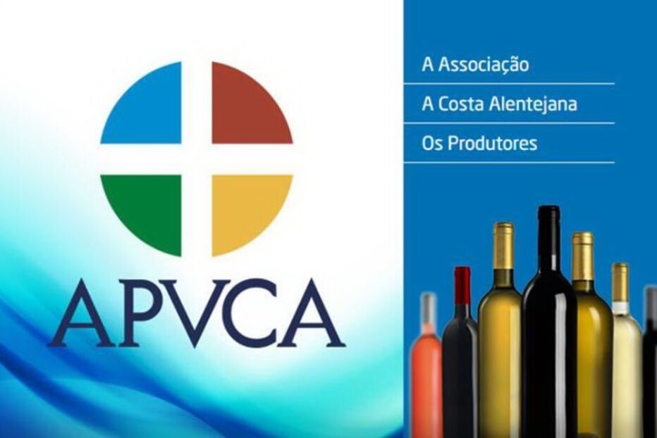 2019-08-02_17_04_23 APVCA.jpg