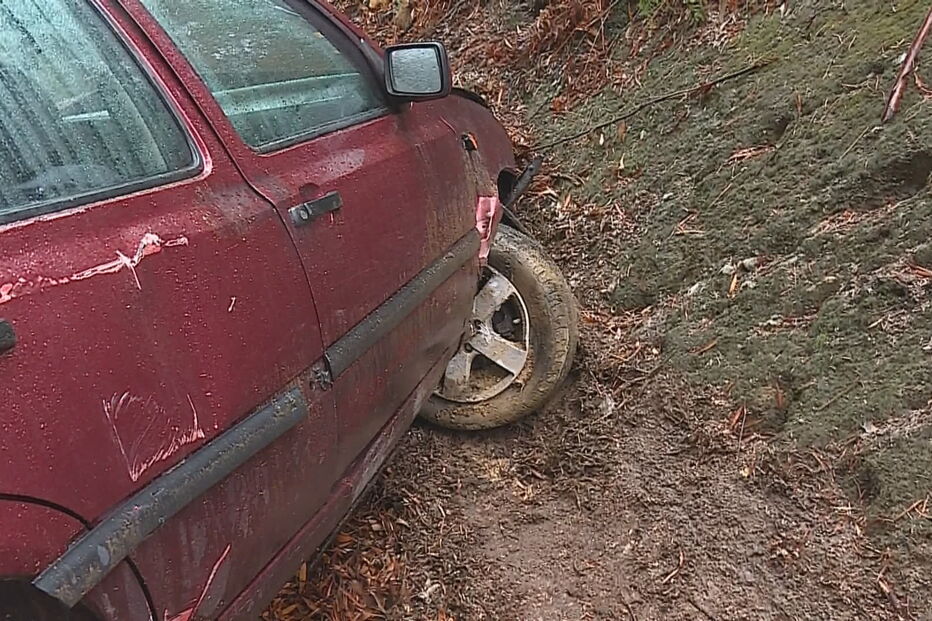 Linha do Vouga cortada após colisão entre comboio e carro