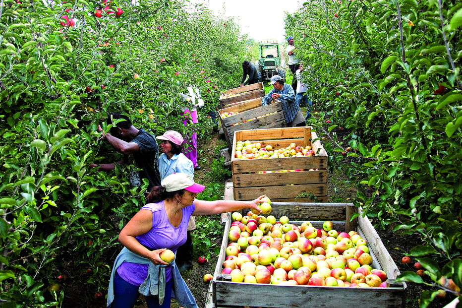 PS, PSD e CDS rejeitam corte na política agrícola e querem manutenção do orçamento