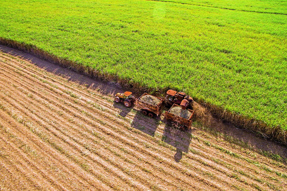 PS, PSD e CDS rejeitam corte na política agrícola e querem manutenção do orçamento