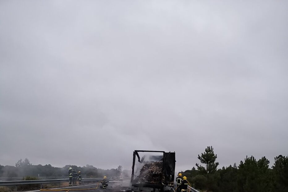 Chamas destroem camião na A2 em Grândola