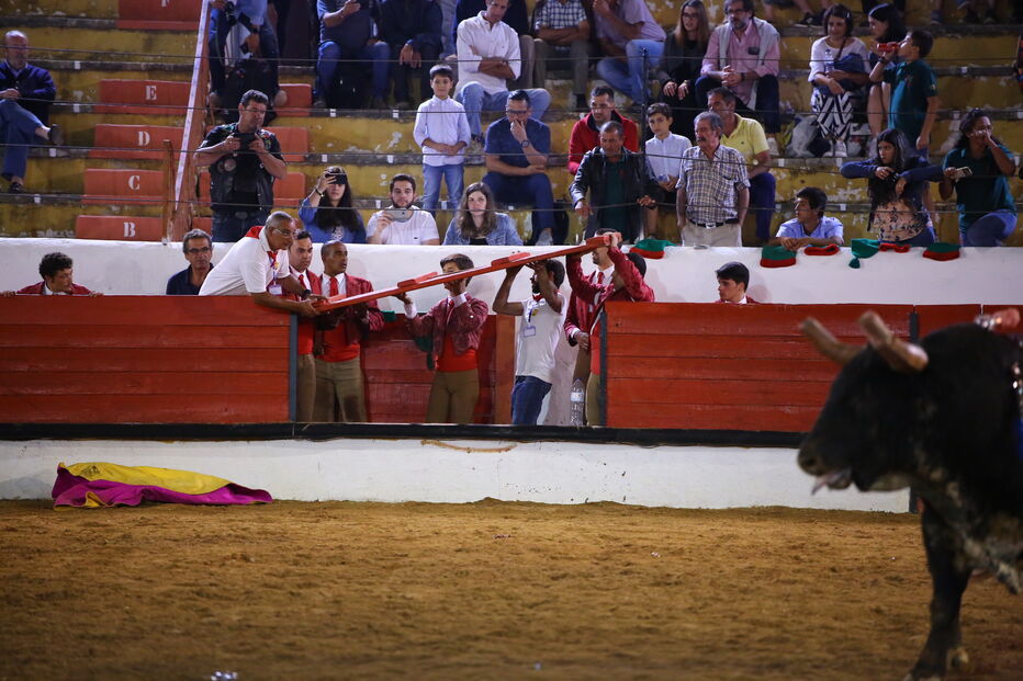 Seis forcados feridos na Corrida de Touros de Tomar