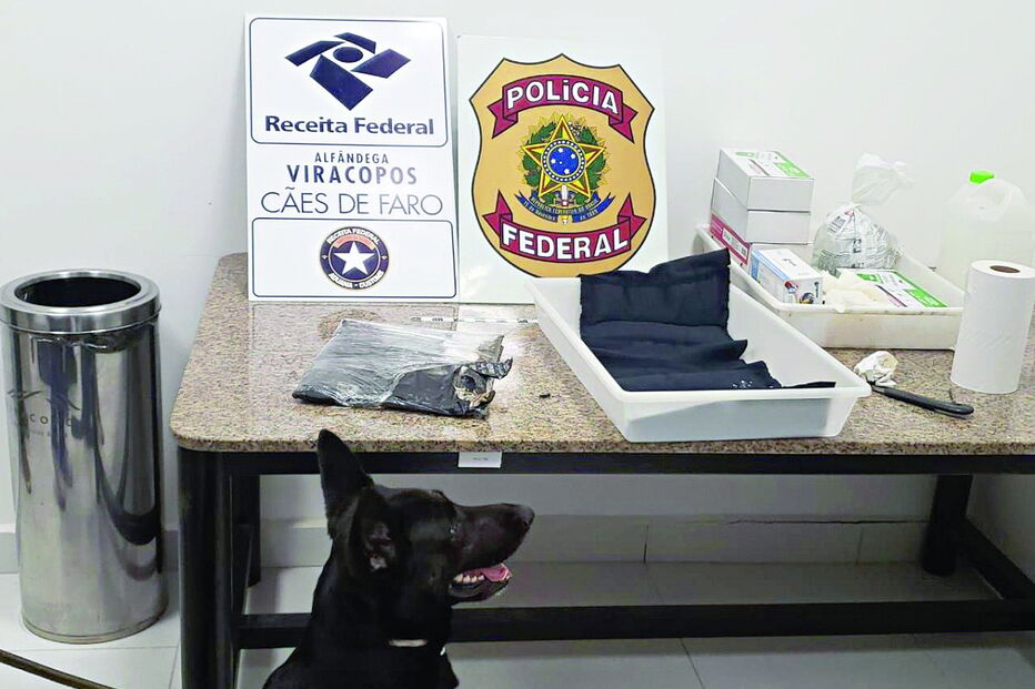 Black, o cão-polícia que tramou um traficante luso  