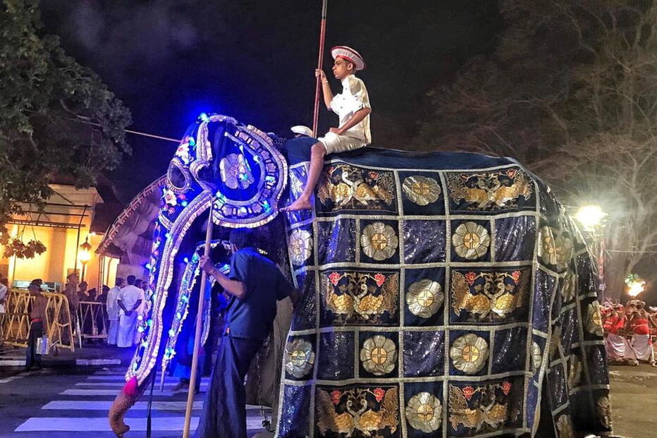 Elefante de 70 anos desnutrido usado como atração de festival no Sri Lanka