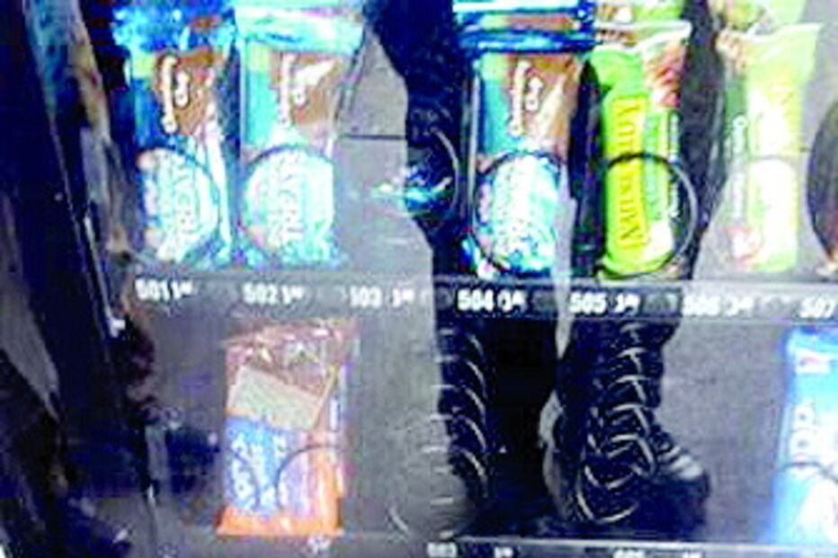 Guaxinim guloso faz assalto aos doces