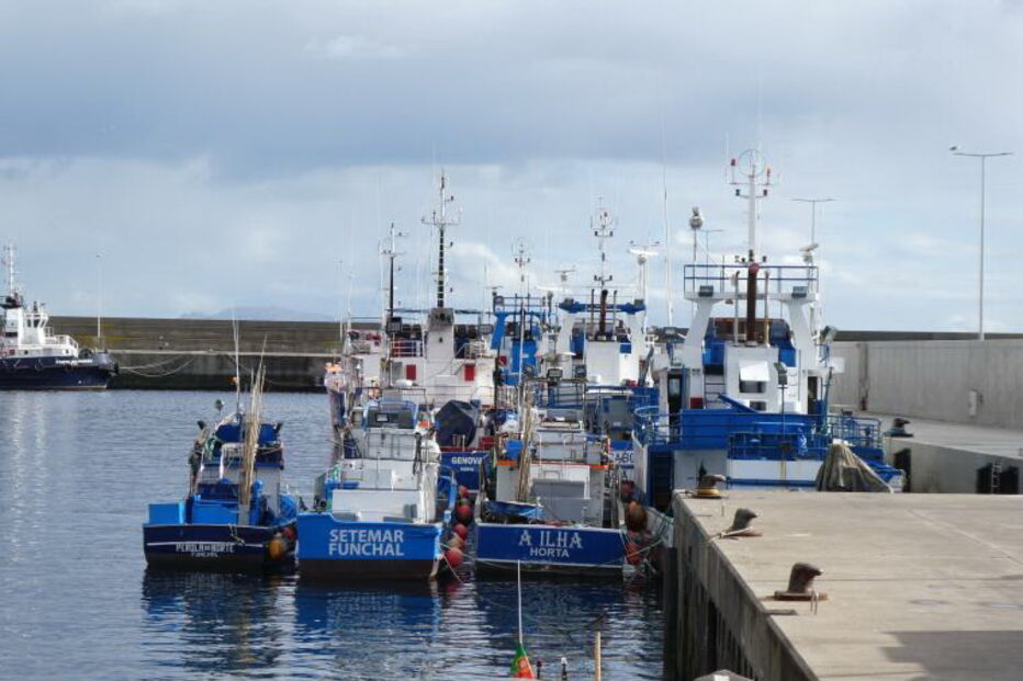 2019-08-18_08_33_14 M2-18941238.JPG