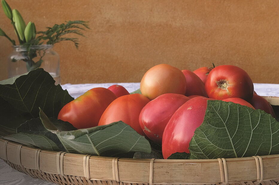 Concurso elege tomate Coração de Boi do Douro    