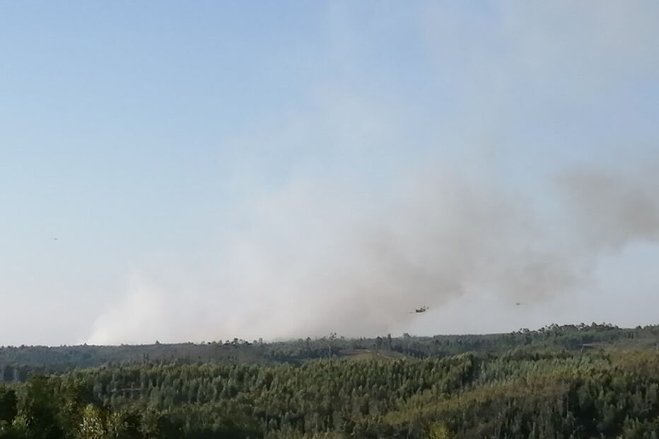 Incêndio em Água das Casas, Abrantes