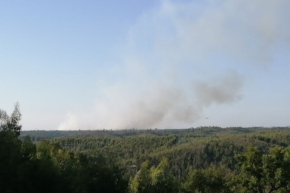 Incêndio em Água das Casas, Abrantes