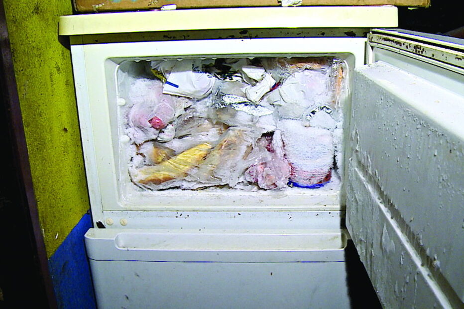 Baratas e lixo em garagem sem água quente para gémeas em bairro da Amadora