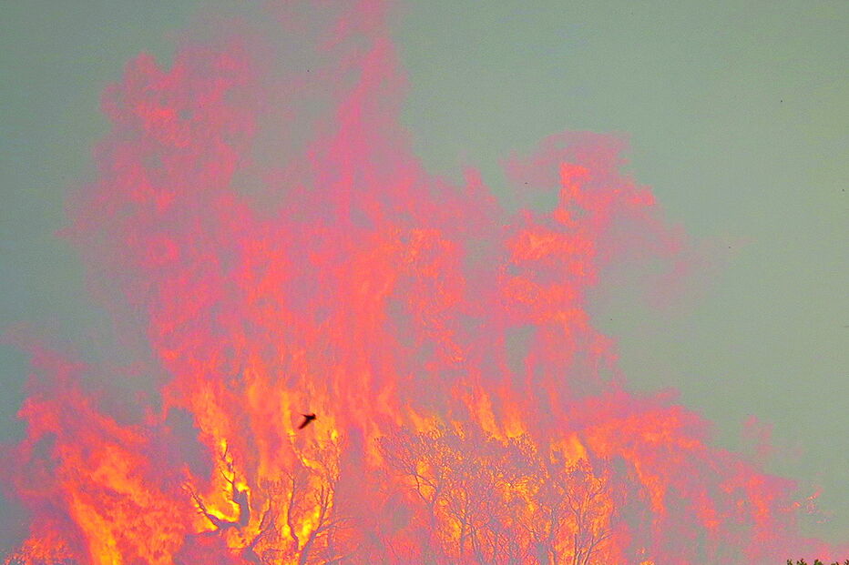 Chamas atingiram uma área de mato e floresta na zona de Monte Clérigo   