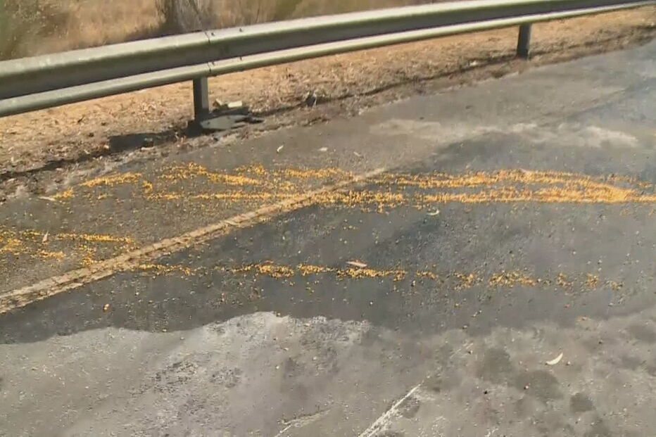 Um morto e um ferido em colisão rodoviária na EN254 em Évora