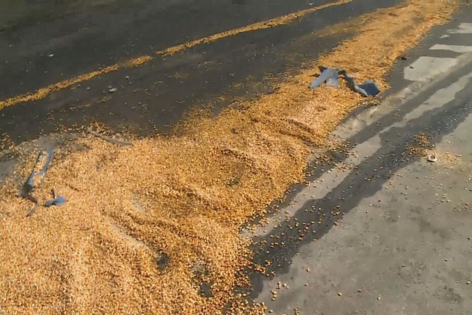 Um morto e um ferido em colisão rodoviária na EN254 em Évora