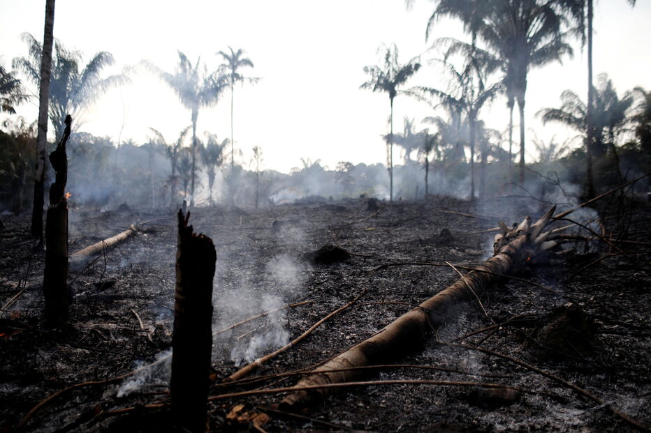 Amazónia a arder, incêndios na Amazónia, Brasil