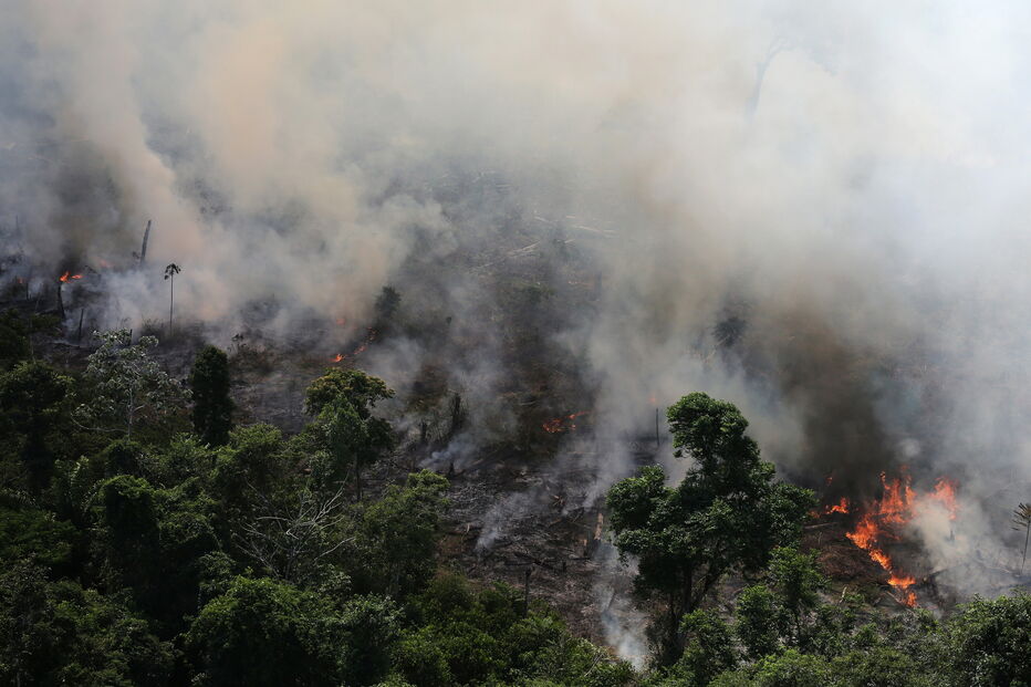 Amazónia a arder, incêndios na Amazónia, Brasil