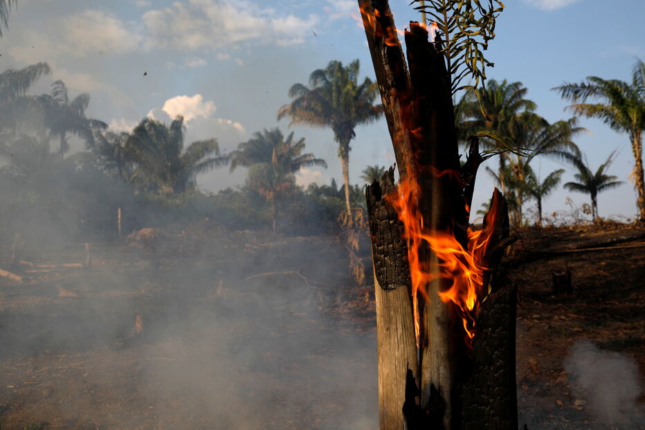 Amazónia a arder, incêndios na Amazónia, Brasil