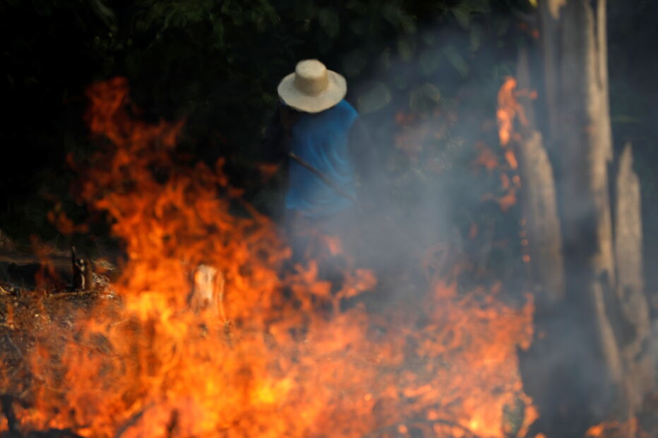 Amazónia a arder, incêndios na Amazónia, Brasil