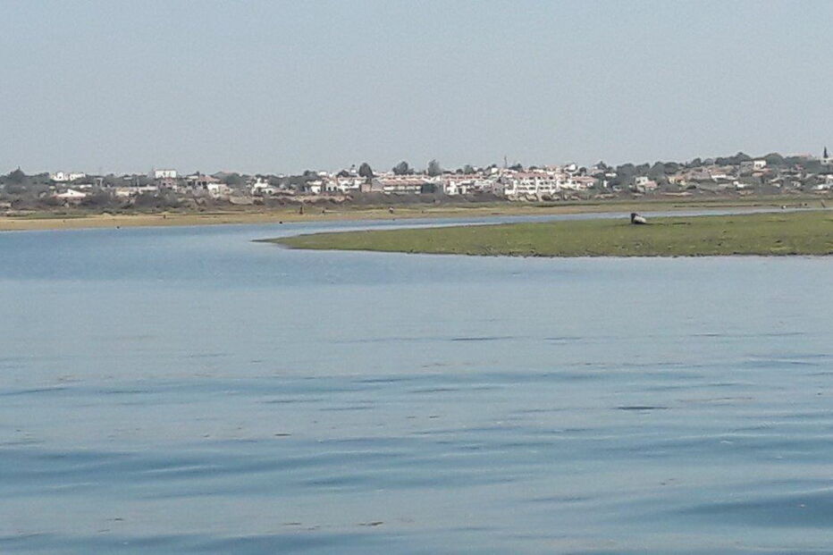Cavalo fica preso numa das margens da Ria Formosa