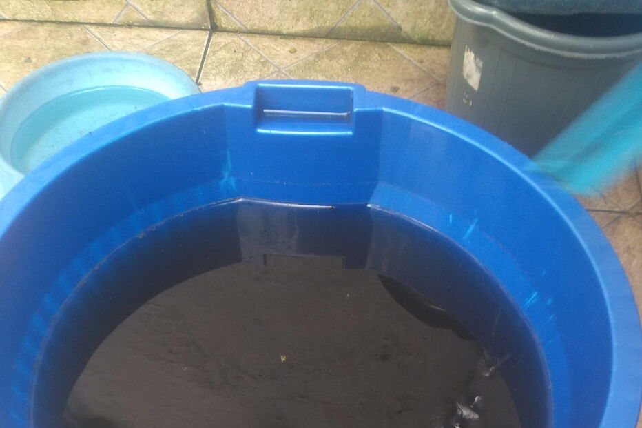 Partículas de fumo fazem cair chuva de água preta em São Paulo