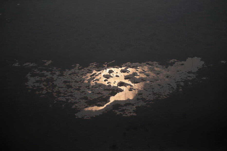 Amazónia fustigada pelos incêndios