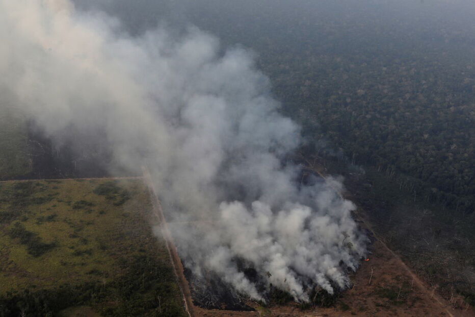 Amazónia fustigada pelos incêndios
