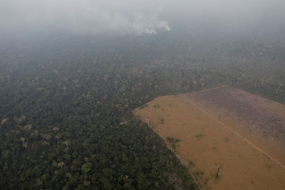 Amazónia fustigada pelos incêndios