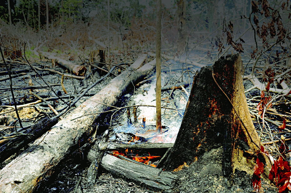 Incêndios na Amazónia