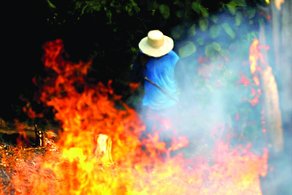 Incêndios na Amazónia