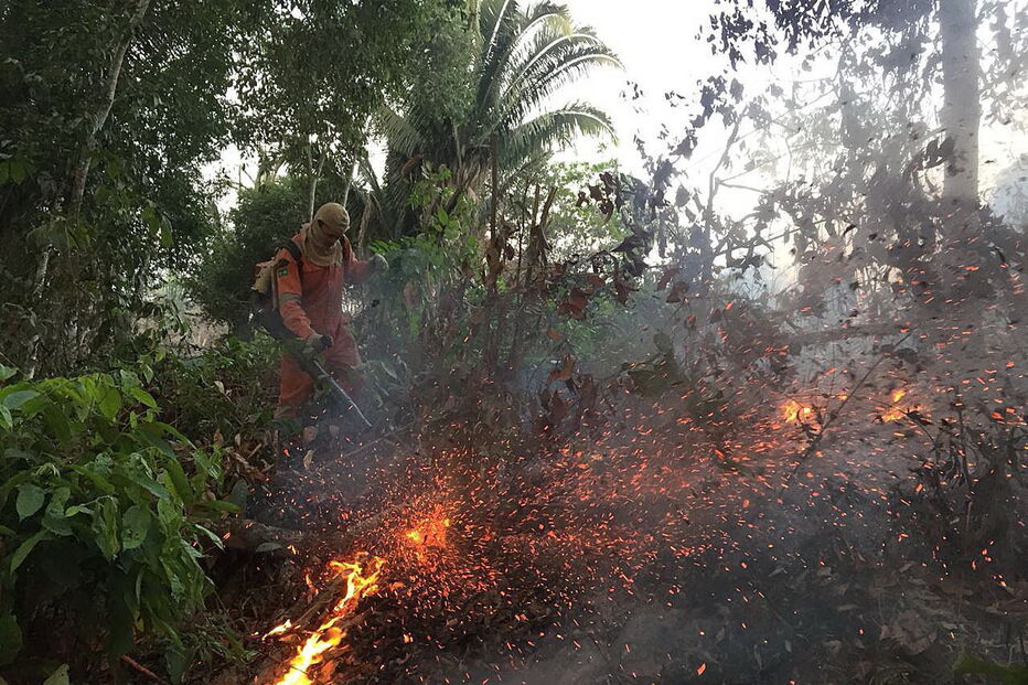 Amazónia consumida pelas chamas