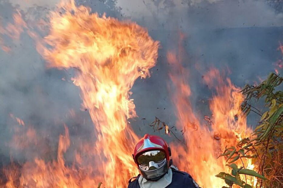 Amazónia consumida pelas chamas