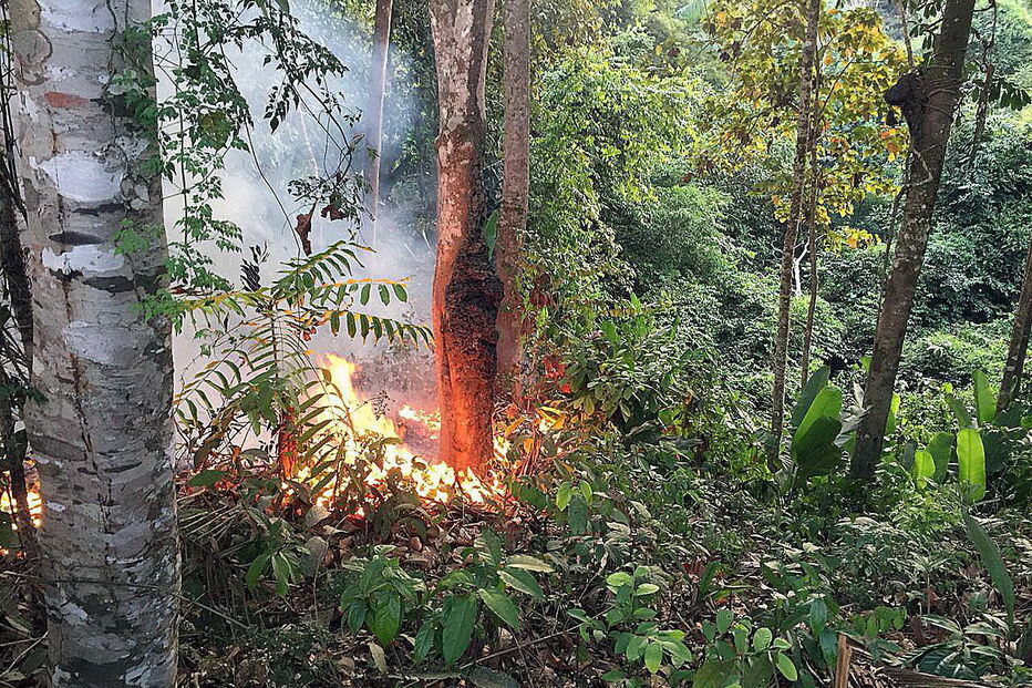 Amazónia consumida pelas chamas