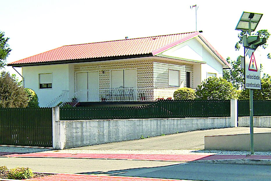 Tragédia aconteceu em Oliveira do Bairro: homem estava a tratar da vinha quando foi atacado e acabou por morrer 