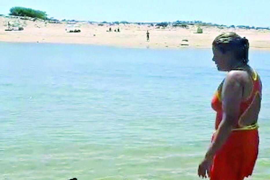 Cetáceo entrou na ria Formosa e foi encontrado próximo da praia  